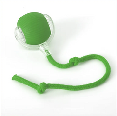 Interactive Self-Rolling Cat Toy - Fun & Stress Relief for Pets